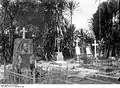 A German cemetery in Kamerun.