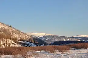 Mountains and forest in a winter setting