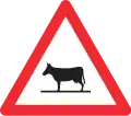 1.25 Animals on road (e.g. cattle)