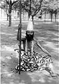 Susuhunan jester participating in the "Garebeg Moeloed" procession (circa 1920s), Java, Indonesia