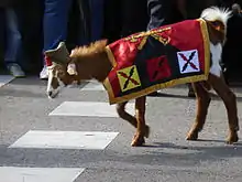 The Goat of the Spanish Legion, wearing a banner and a hat, before a parade in 2015.