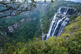 Tigre preto waterfall