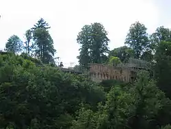 Cadzow Castle seen across the Avon Gorge from the Duke's Bridge