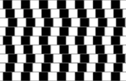 Café wall illusion: the parallel horizontal lines in this image appear sloped.