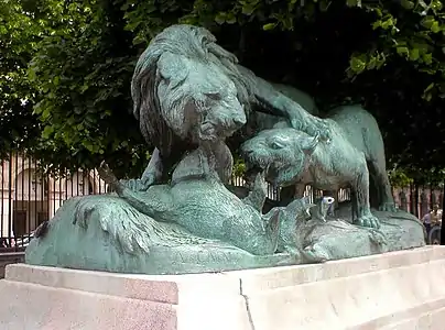 Lion et Sanglier