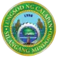 Official seal of Calapan