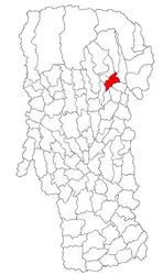 Location in Argeș County