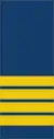 Four gold stripes on a blue background signify the rank of colonel