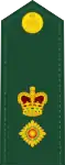 Canadian Army(Lieutenant Colonel)