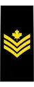 Petty officer 2nd class(French: Maître de 2e classe)(Royal Canadian Navy)