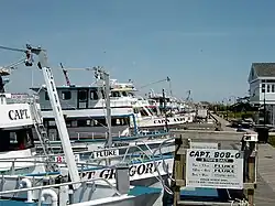 Charter fishing boats at Captree State Park