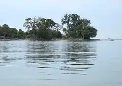 An island with large trees and their reflections in the water below