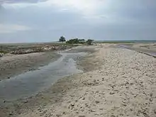 Two streams cutting across the sand with some vegetation on the left