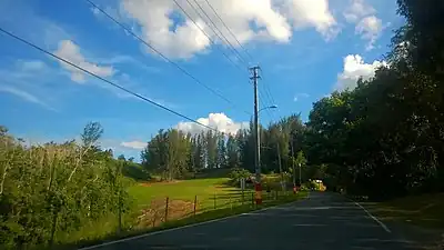 Puerto Rico Highway 806 between Toa Alta and Corozal