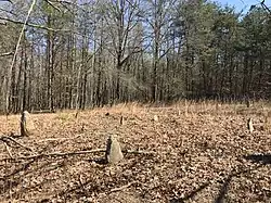 Slave cemetery at Carter Plantation in Wentworth, Rockingham County