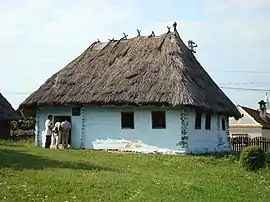 Badea Cârțan memorial house in Cârțișoara