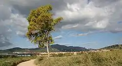 Castellar del Valles and Sant Llorenç del Munt