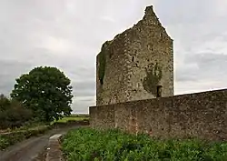 Clenagh Castle