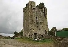 Moycarky Castle