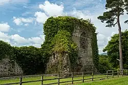 Ruin of the Norman-era Castle Hyde tower house, formerly Carriganeide