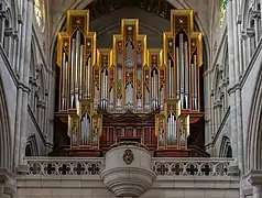 The organ