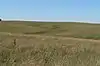 Willa Cather Memorial Prairie