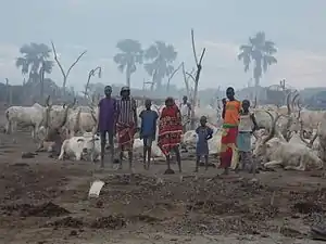 A cattle camp in Rumbek