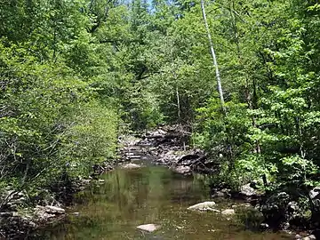 Low gradient Cedar River