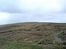 Grassland with remains of field walls