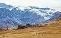 Animal Farm in the Altai Mountains