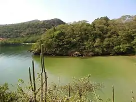 Tropical dry forest, Chacachacare