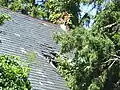 Hole in the Chapel roof