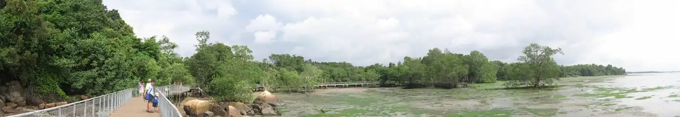 Seagrass lagoon, Chek Jawa, Singapore