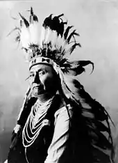 Profile of the head and torso of a dignified man of about 60. He wears a headpiece featuring many long white feathers with black tips. His shirt or upper garment is dark, and its sleeves are white. Decorative parallel ovals of white material extend down the front of this garment from neck to midriff.