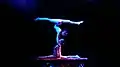 Gymnastic display