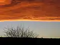 Chinook arch in Calgary, Alberta, 19 November 2005