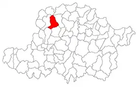 Location in Arad County