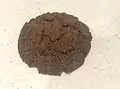 Chocolate ripple biscuit (cropped)