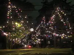 Christmas Tree Lane