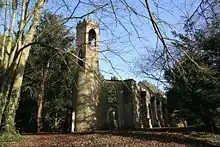 Ruins of a church showing a round tower with a hexagonal top and the roofless nave