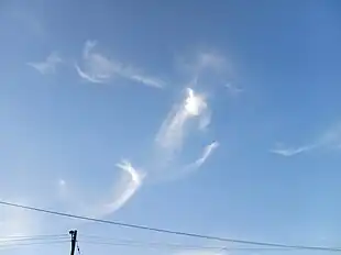 Cirrus uncinus clouds in Salinas Victoria, Nuevo Leon, Mexico.