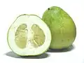 The pomelo (Citrus maxima)