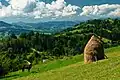 Mountainous landscape in Borșa with haystacks in the background