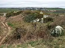 Clegyr Boia, view east