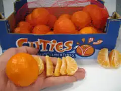 Fruit Packaging Boxes