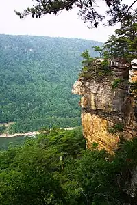 New River Gorge, Section of the cliff at Endless Wall cliff.