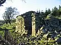 Ruin near Pant-y-fotty