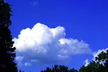 Bright blue sky with clouds