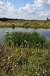 A pond with Fata Morgana in the distance