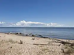 Coast at the eastern side of Cape Kolka